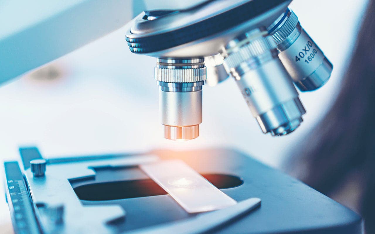 Tuning-Free Distillation-Based Biometric Privacy Protection Using Hierarchical Binary Features